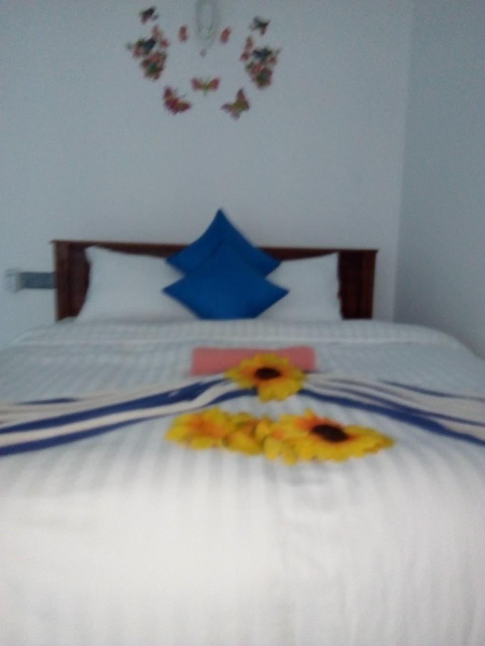 Moon Light Guest Bed & Breakfast Mirissa Exterior photo